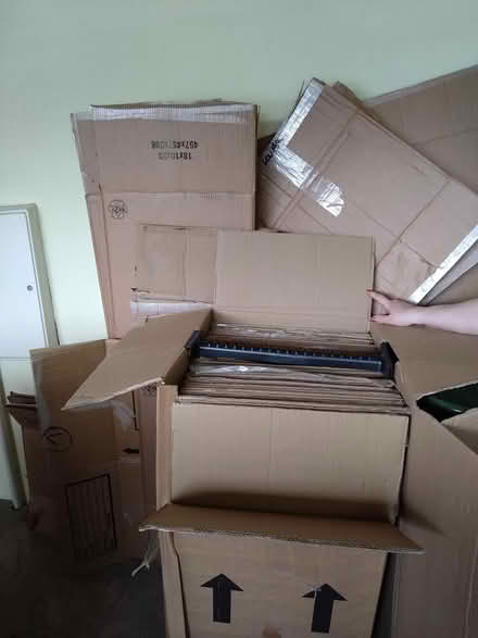 Photo of free Packing boxes and paper (Grey Tree, Ross-on-wye) #2
