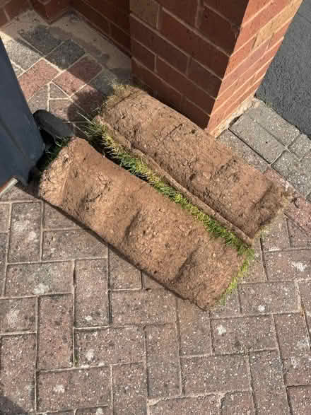 Photo of free 2 x rolls of lawn turf (B68) #1