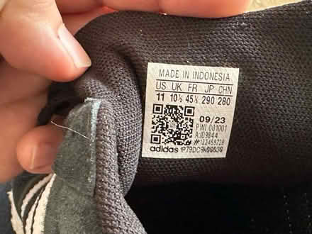 Photo of free Adidas Campus trainers size 10.5 (Sutton SM2) #2