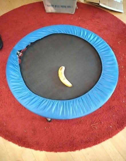 Photo of free Trampoline for indoor use (north Cambridge) #1