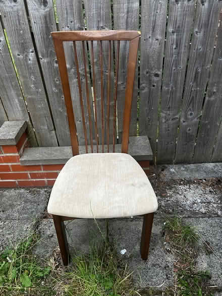 Photo of free Dining room chairs (Durham DH7) #1