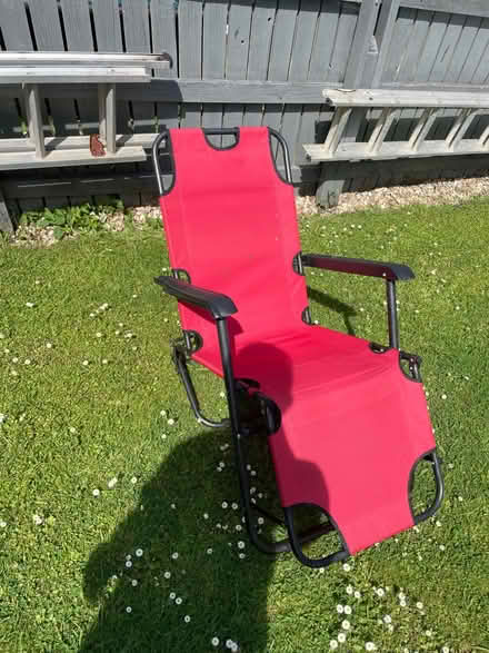 Photo of free Sun bed (Axminster flax meadow) #1