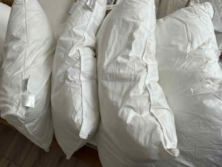 Photo of free Pillows (Newtonhill AB39) #1