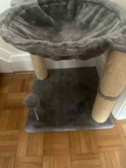Photo of free Cat scratch pole and bed (West Kensington W14) #1