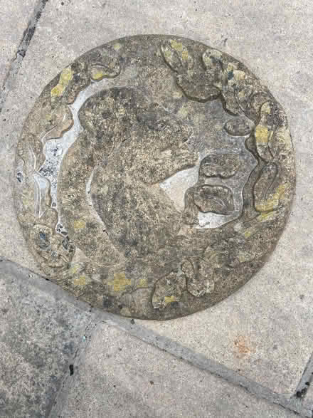 Photo of free Feature stepping stone (PO4 Milton) #1