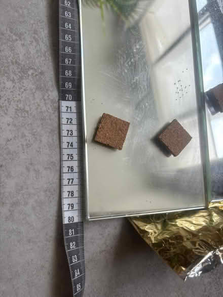 Photo of free 2 x thin mirrors (Teddington) #3