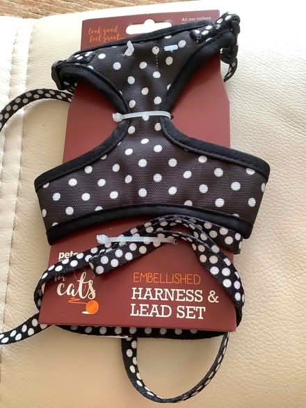 Photo of free Cat harness and lead (Oxton CH43) #1