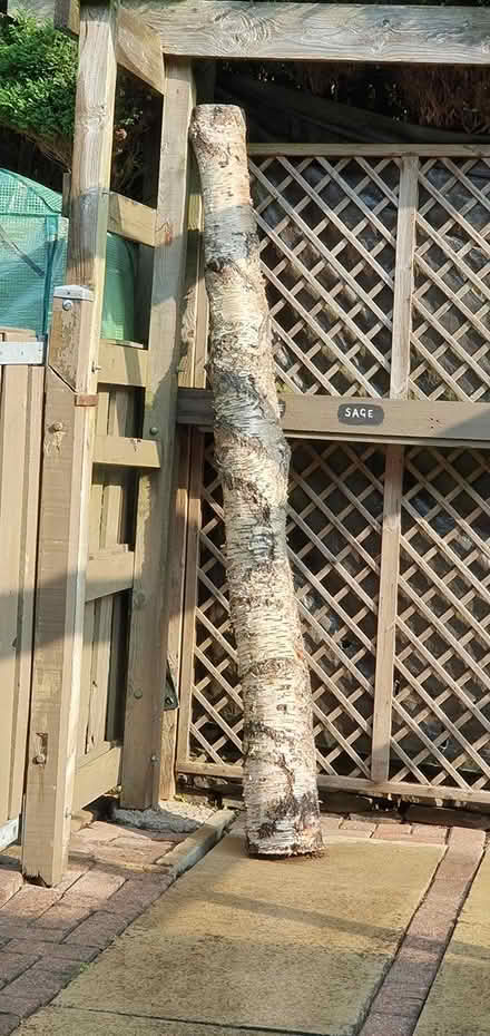 Photo of free Fire Wood - BD13 (Queensbury BD13 off Roper Lane) #1