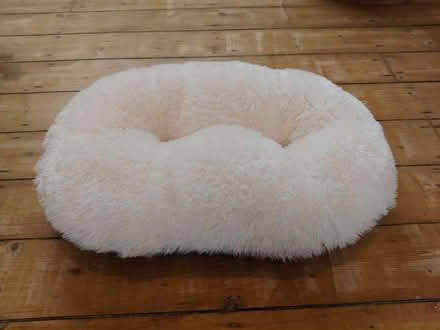 Photo of free Pet cushion (Little Chester DE1) #1