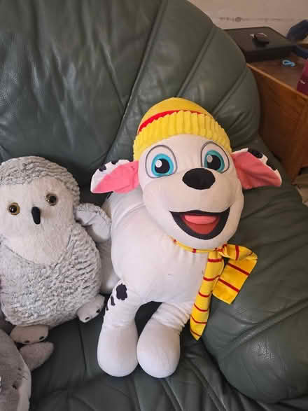 Photo of free Selection of cuddly toys (Nuneaton CV10) #1