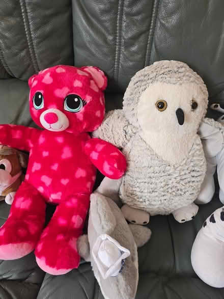 Photo of free Selection of cuddly toys (Nuneaton CV10) #2