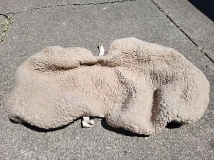 Photo of free sheepskin car seat cover (downtown Novato area) #1