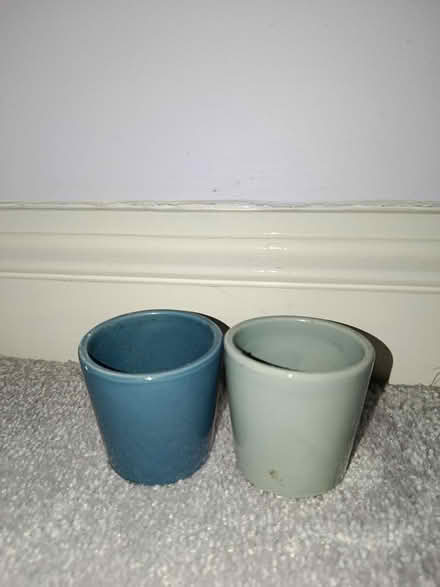Photo of free Mini vase (OX3 Wood Farm) #1