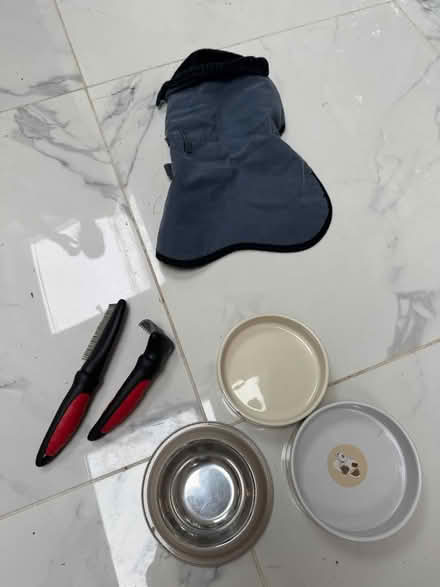 Photo of free Puppy stuff (Penn HP10) #1