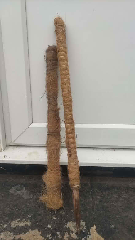 Photo of free Plant pole supports (Chislehurst BR7) #1