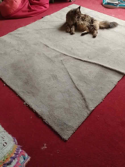 Photo of free Small grey carpet (Penrith CA11) #1