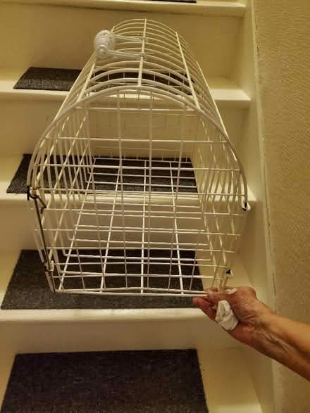 Photo of free Cat carrier (NW10) #2