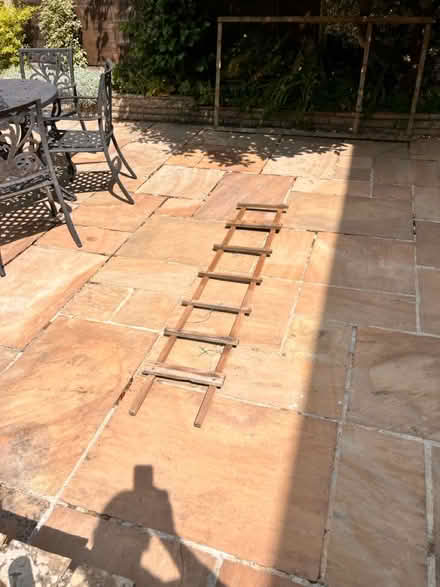 Photo of free 1 Piece of Garden Trellis h1830 c w (BH17 9AF) #1