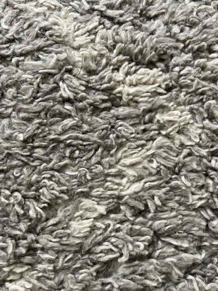 Photo of free Large rug (Bristol BS7) #3