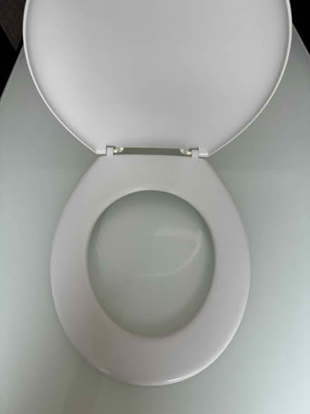Photo of free Toilet seat (Old town SG1) #2