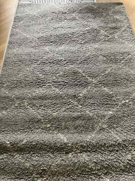 Photo of free Large rug (Bristol BS7) #1