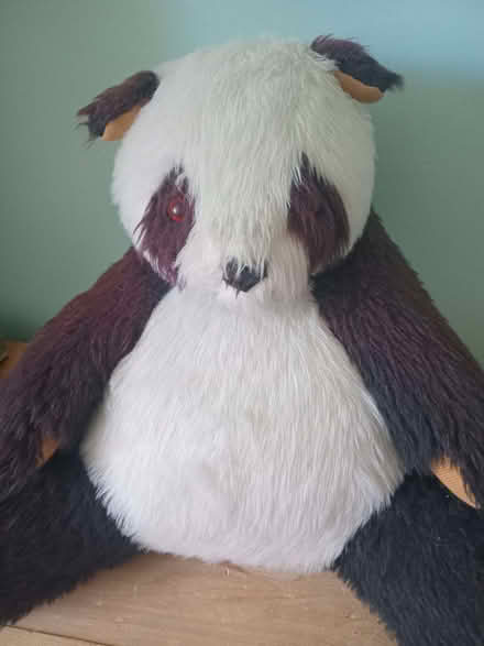 Photo of free Large panda. (Eastbourne BN20) #1