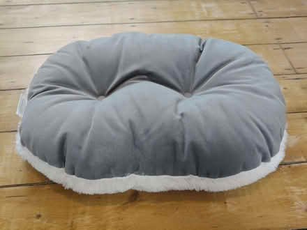 Photo of free Pet cushion (Little Chester DE1) #2