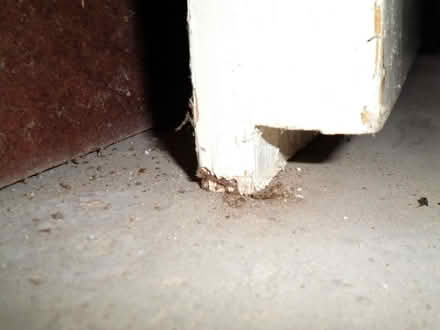 Photo of free Door, internal door, white wood with full length glazing (New Costessey NR5) #4