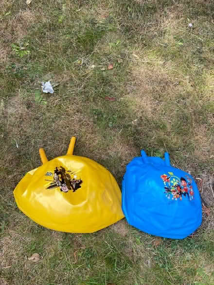Photo of free 2 space hoppers (Gu147an) #1