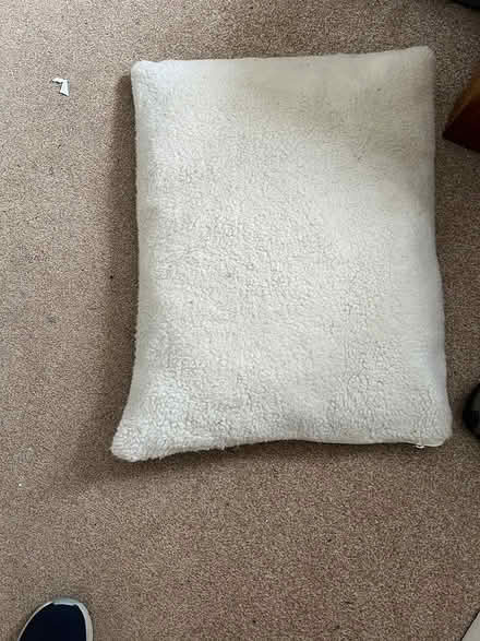 Photo of free Small Dog bed (Newport Pagnell, MK16) #1