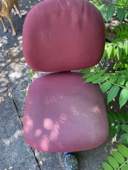 Photo of free Office chair (Gerstle Park) #1