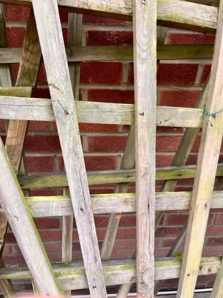 Photo of free Wooden Garden Trellis, h200 x w150c (BH17 9AF) #2