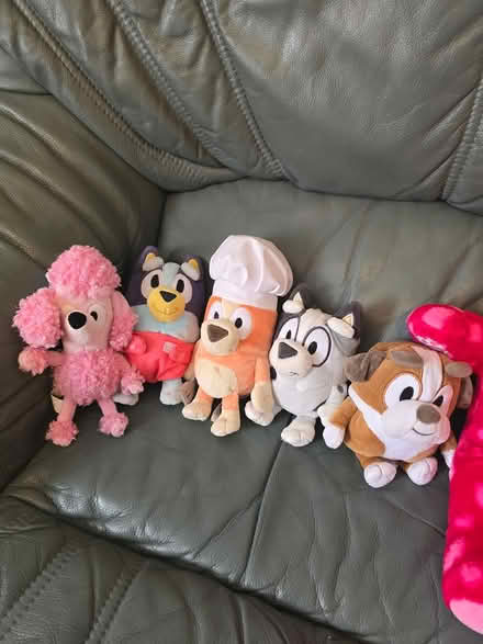 Photo of free Selection of cuddly toys (Nuneaton CV10) #3