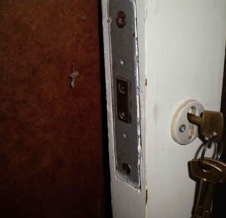 Photo of free Door, internal door, white wood with full length glazing (New Costessey NR5) #3