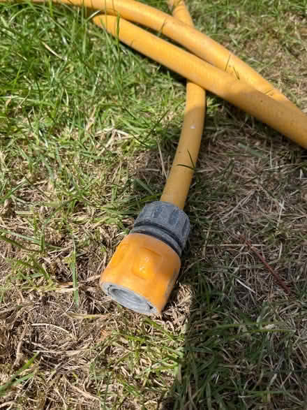 Photo of free Garden hose (SE19) #2