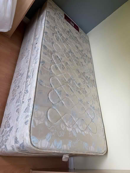 Photo of free Single bed (Marylebone WN1) #1