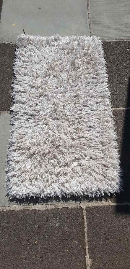 Photo of free Shagpile carpet (North Sheen TW9) #1