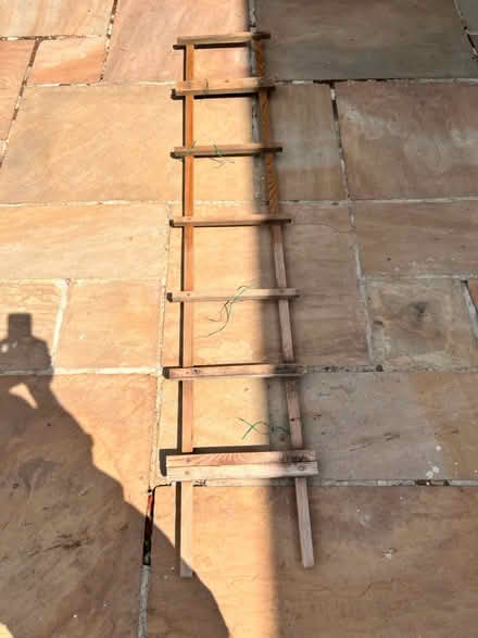 Photo of free 1 Piece of Garden Trellis h1830 c w (BH17 9AF) #2