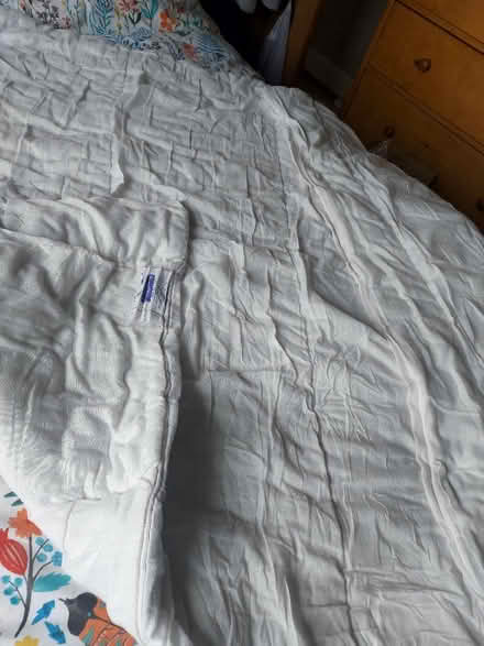Photo of free Single duvet (Presteigne LD8) #1