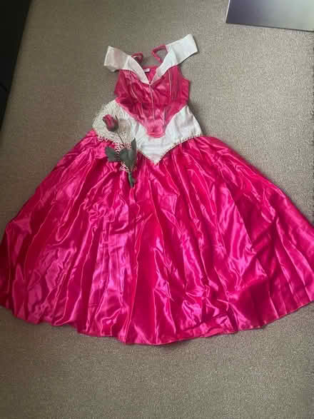 Photo of free Adult Sleeping Beauty Costume - Size 10 (Fairfield LA1) #1