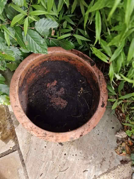 Photo of free Terracotta pot (Enborne Row RG14) #3