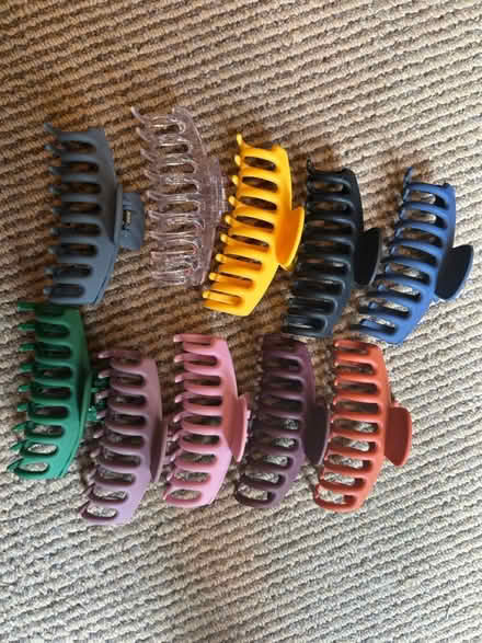 Photo of free Hair clips (McLean near Spring Hill Road) #1