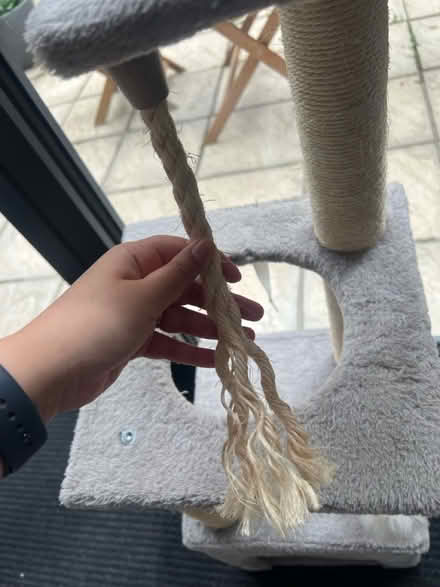 Photo of free Cat/kitten scratcher (UB6) #3