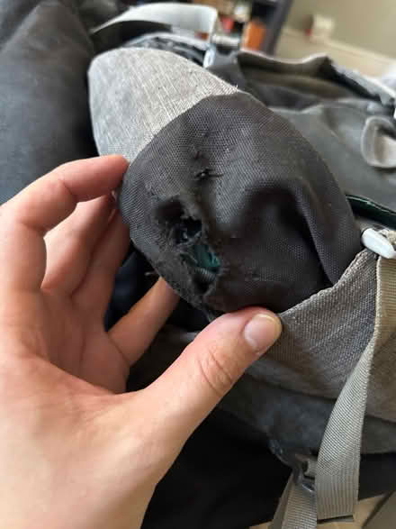 Photo of free 60 +15L travel backpack (holes) (SW9 6LW) #3