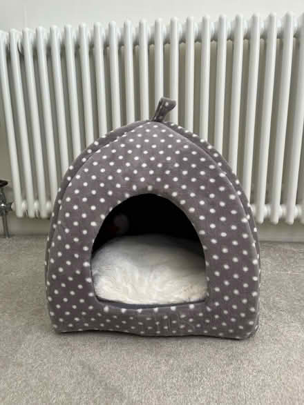 Photo of free Cat igloo (Hove BN3) #1