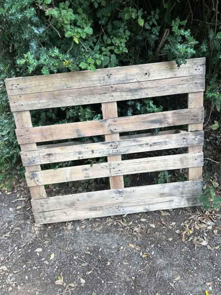 Photo of free Single pallet (Aston SG2) #1