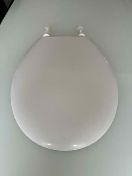 Photo of free Toilet seat (Old town SG1) #1