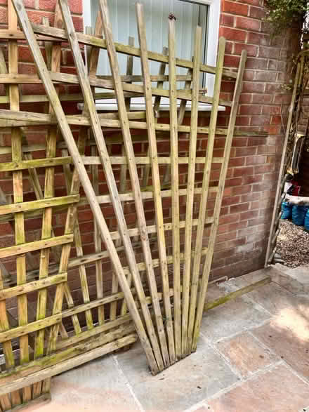 Photo of free Wooden Garden Trellis, h200 x w150c (BH17 9AF) #4