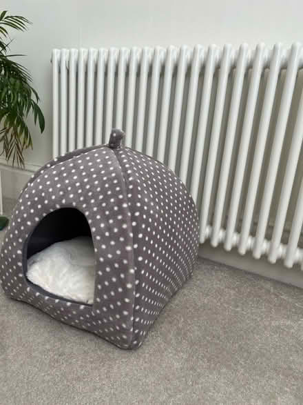 Photo of free Cat igloo (Hove BN3) #2