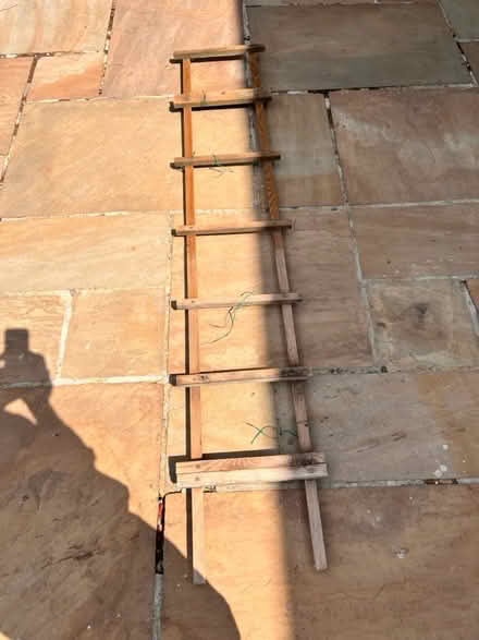 Photo of free 1 Piece of Garden Trellis h1830 c w (BH17 9AF) #3